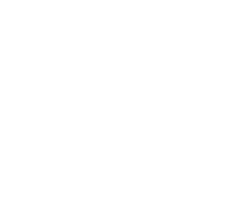 Arc Viz Studio